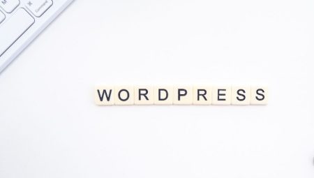 WordPress Ajansı ile Başarılı Web Siteleri Yaratın